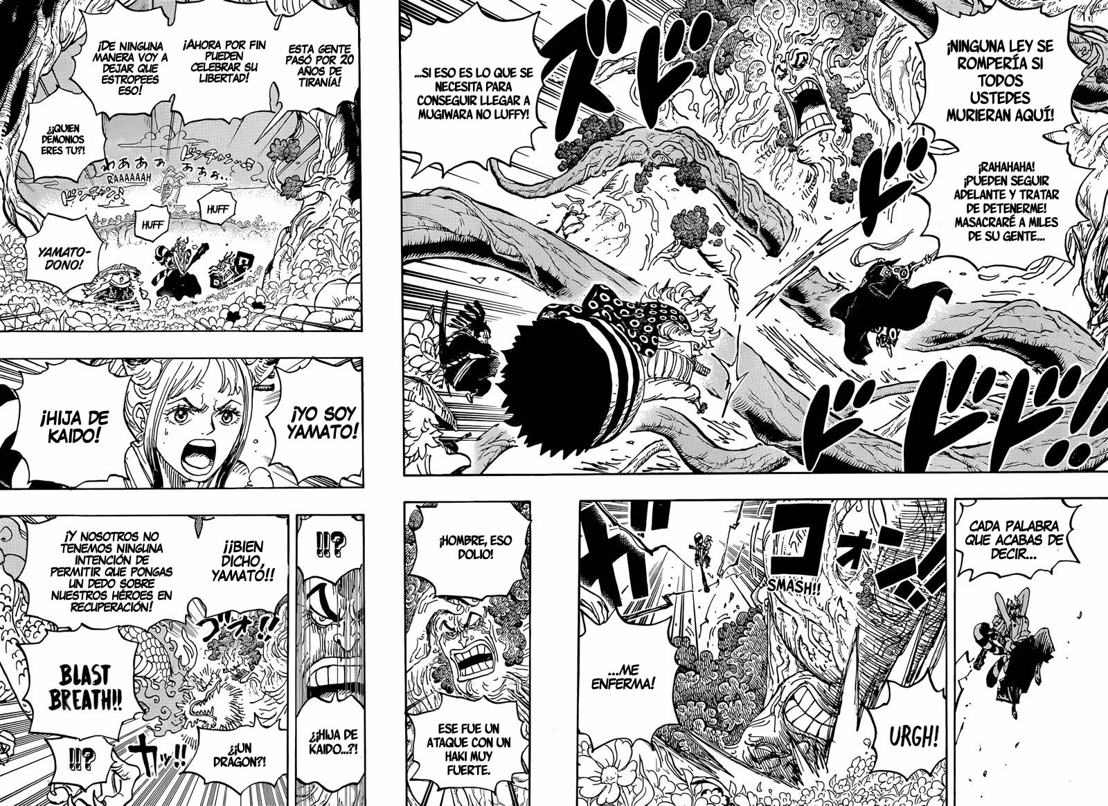 One Piece Capitulo 1054 página 5
