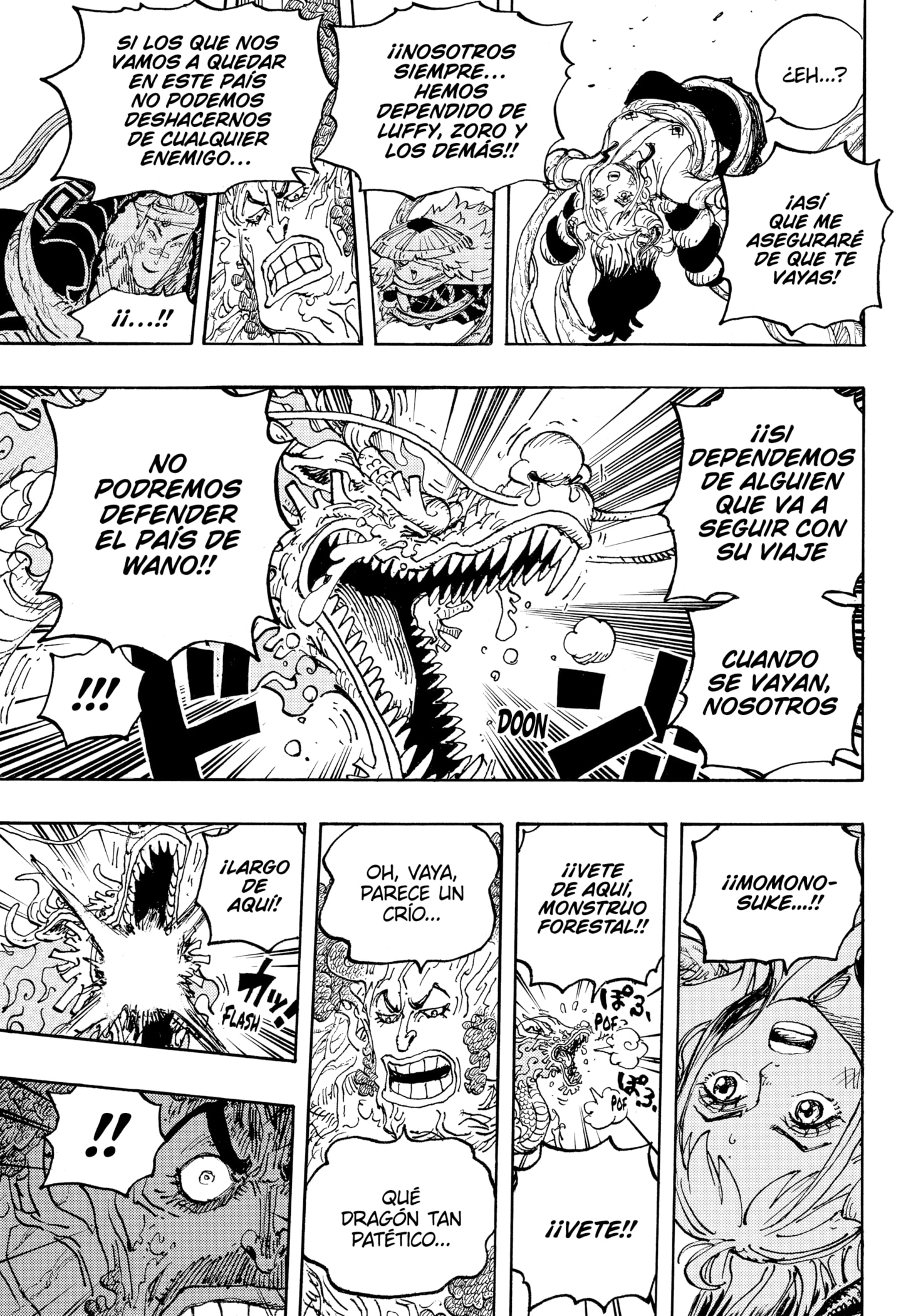 One Piece Capitulo 1055 página 13