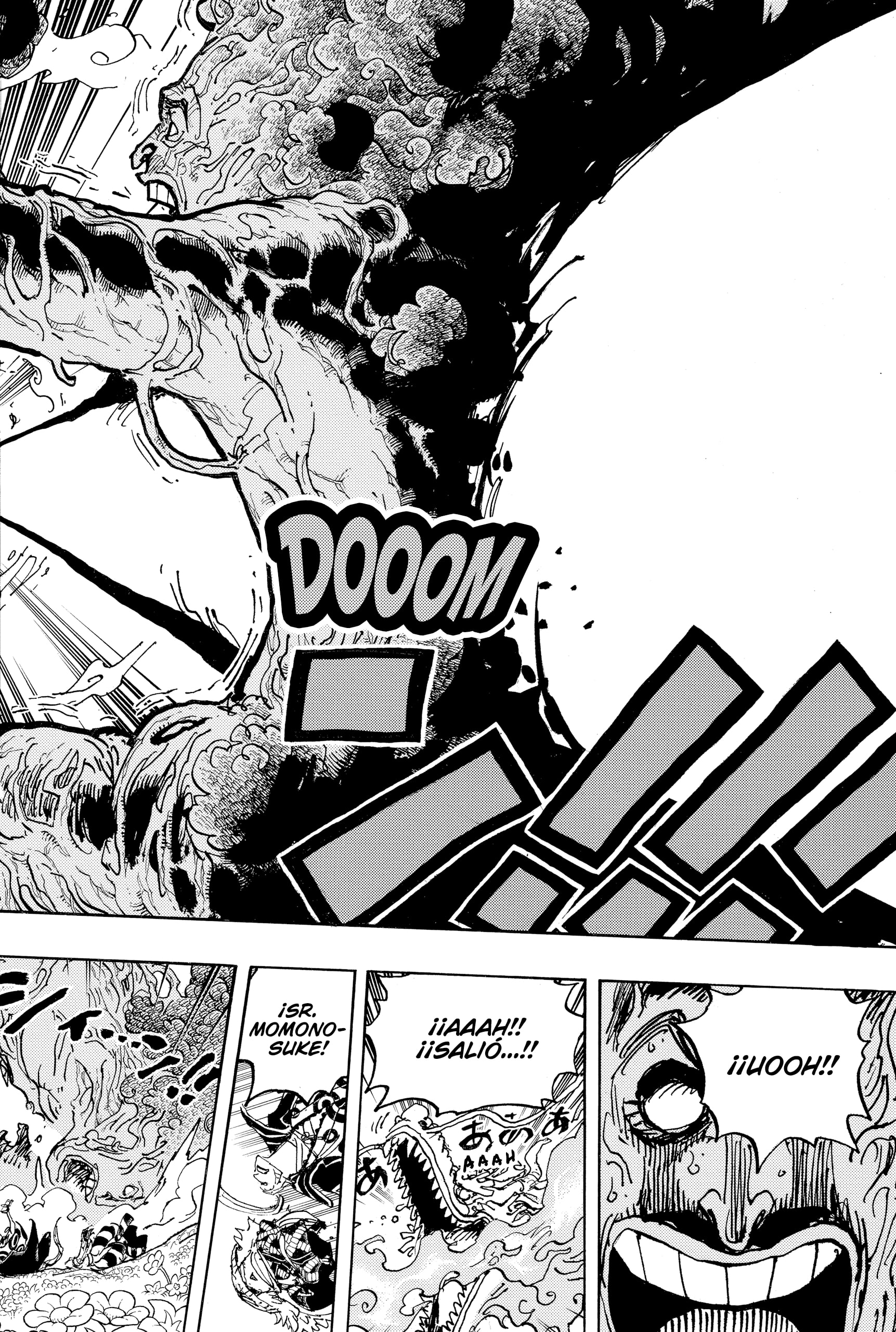 One Piece Capitulo 1055 página 14
