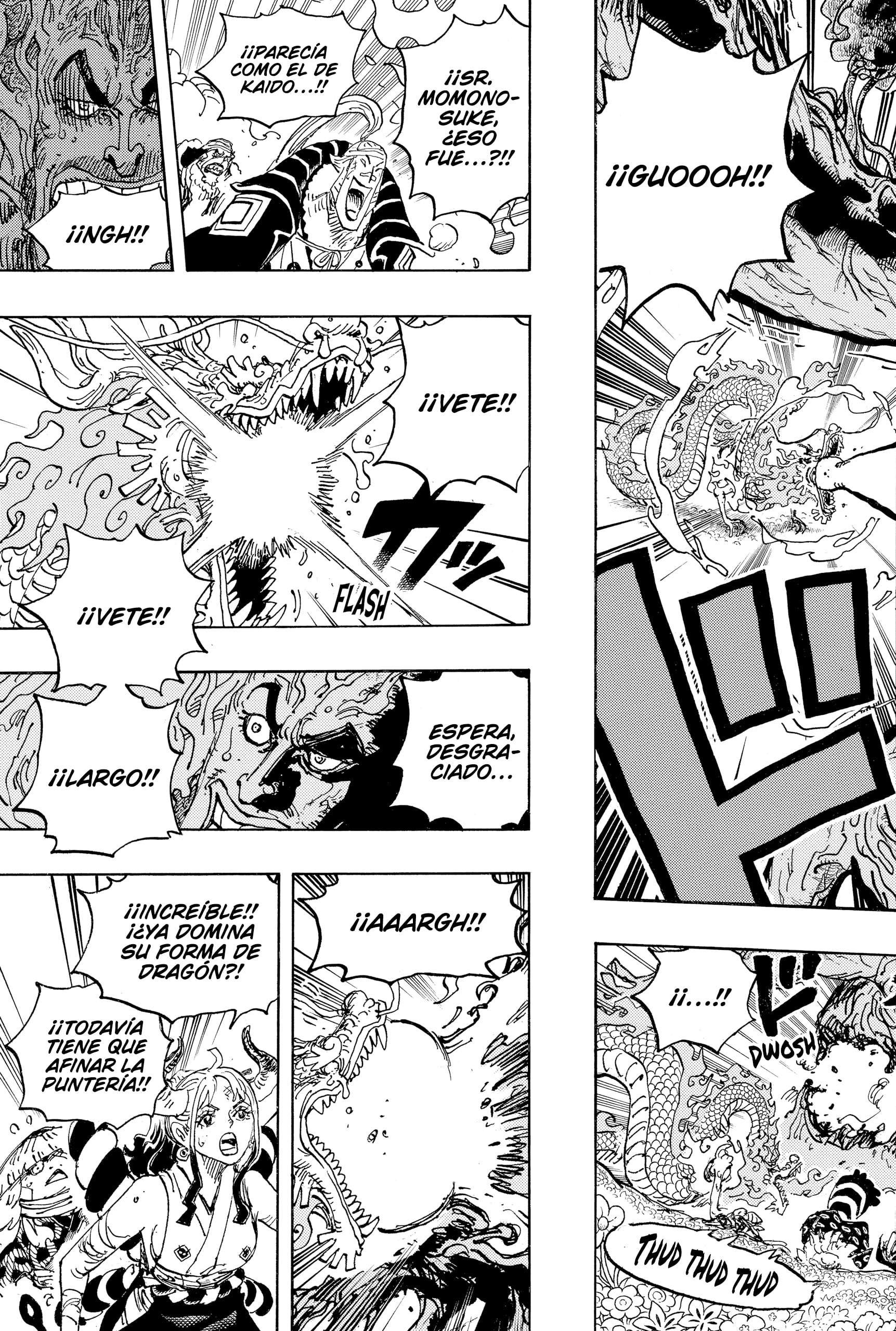 One Piece Capitulo 1055 página 15