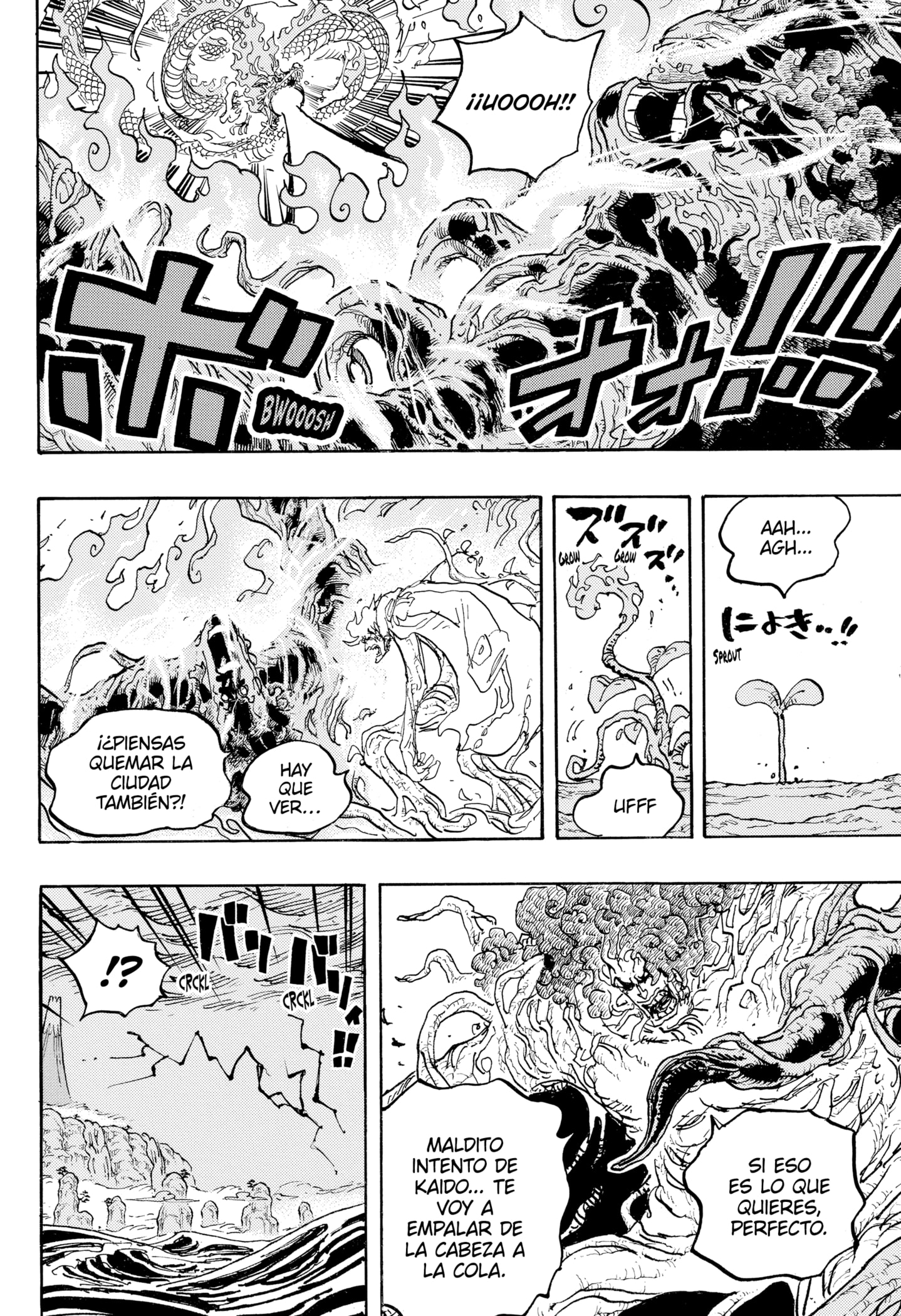 One Piece Capitulo 1055 página 16
