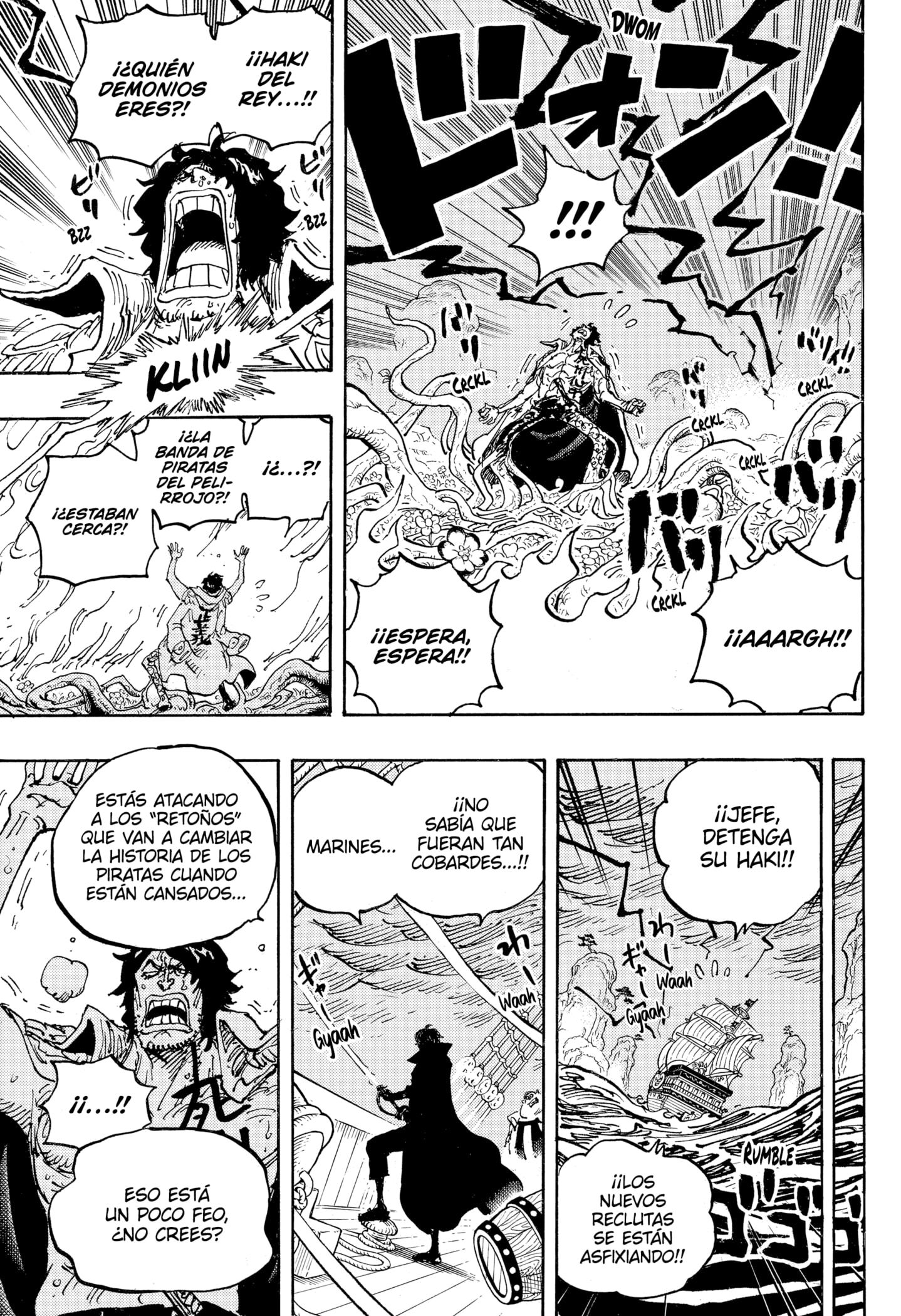 One Piece Capitulo 1055 página 17