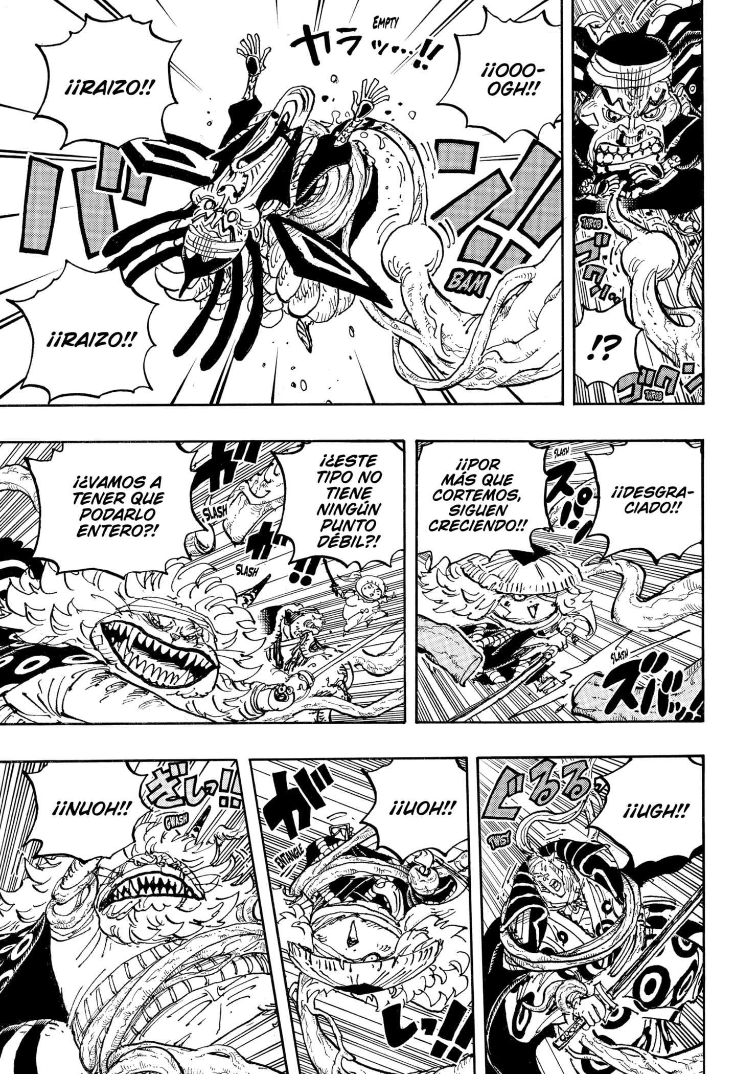 One Piece Capitulo 1055 página 5