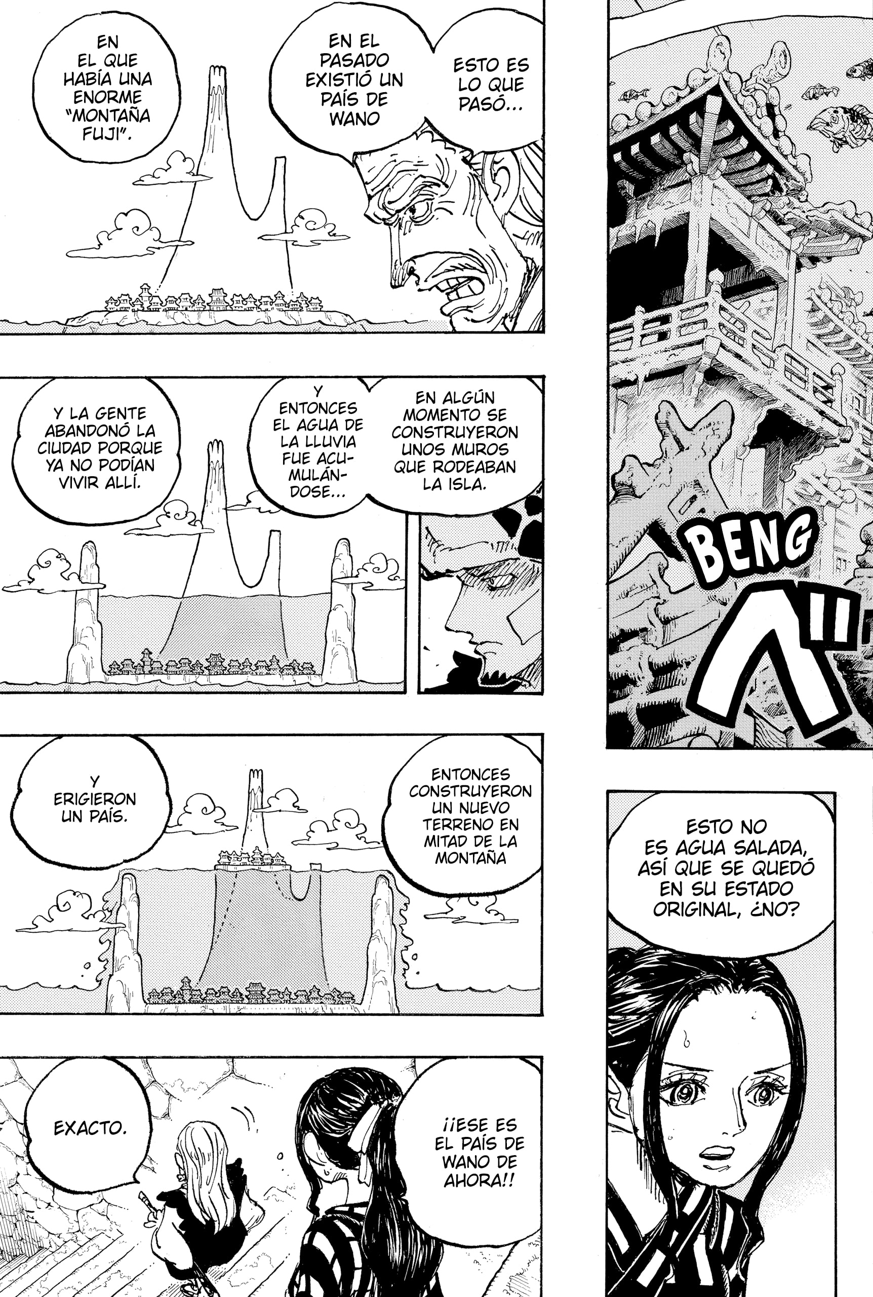 One Piece Capitulo 1055 página 9