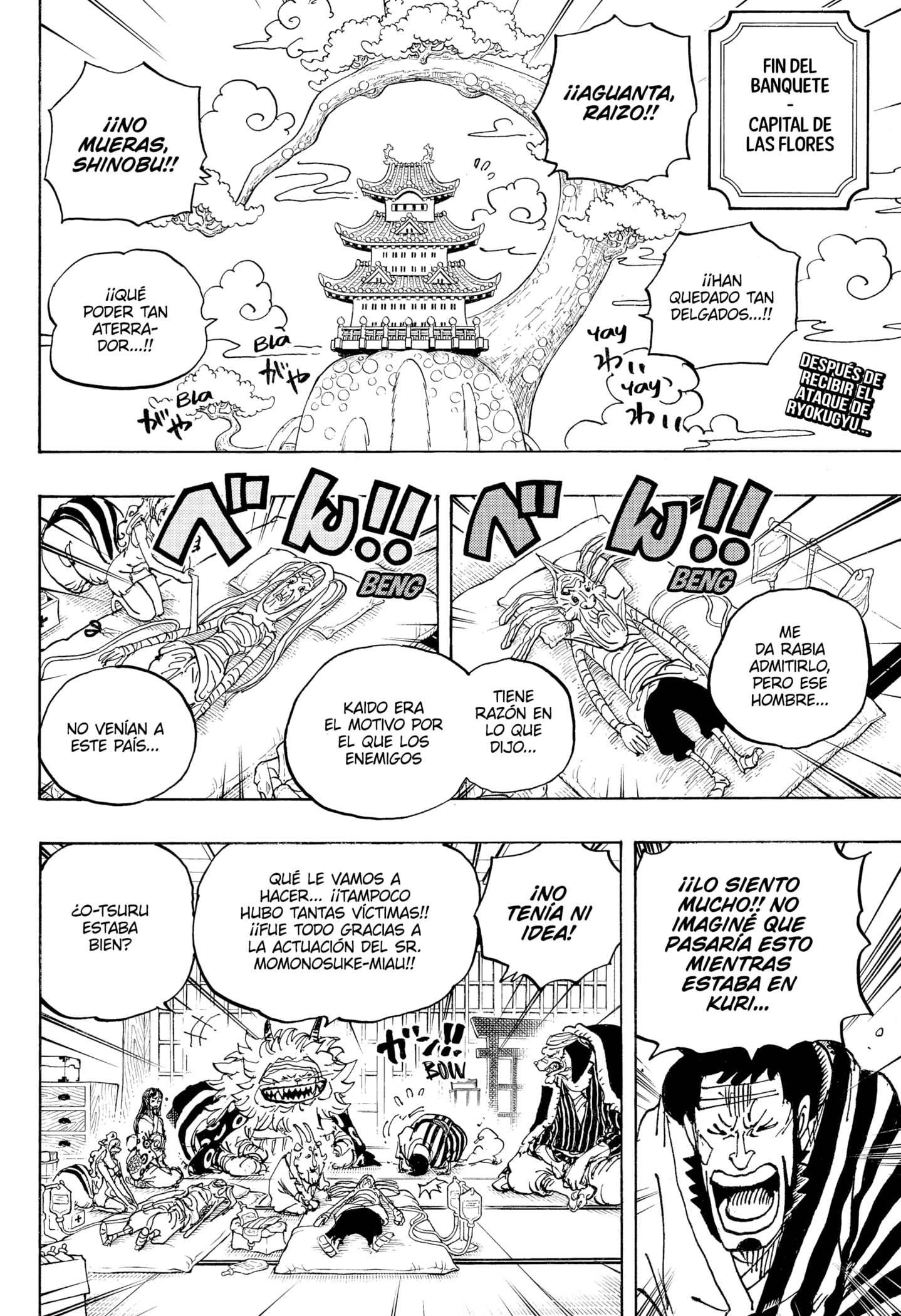 One Piece Capitulo 1056 página 2