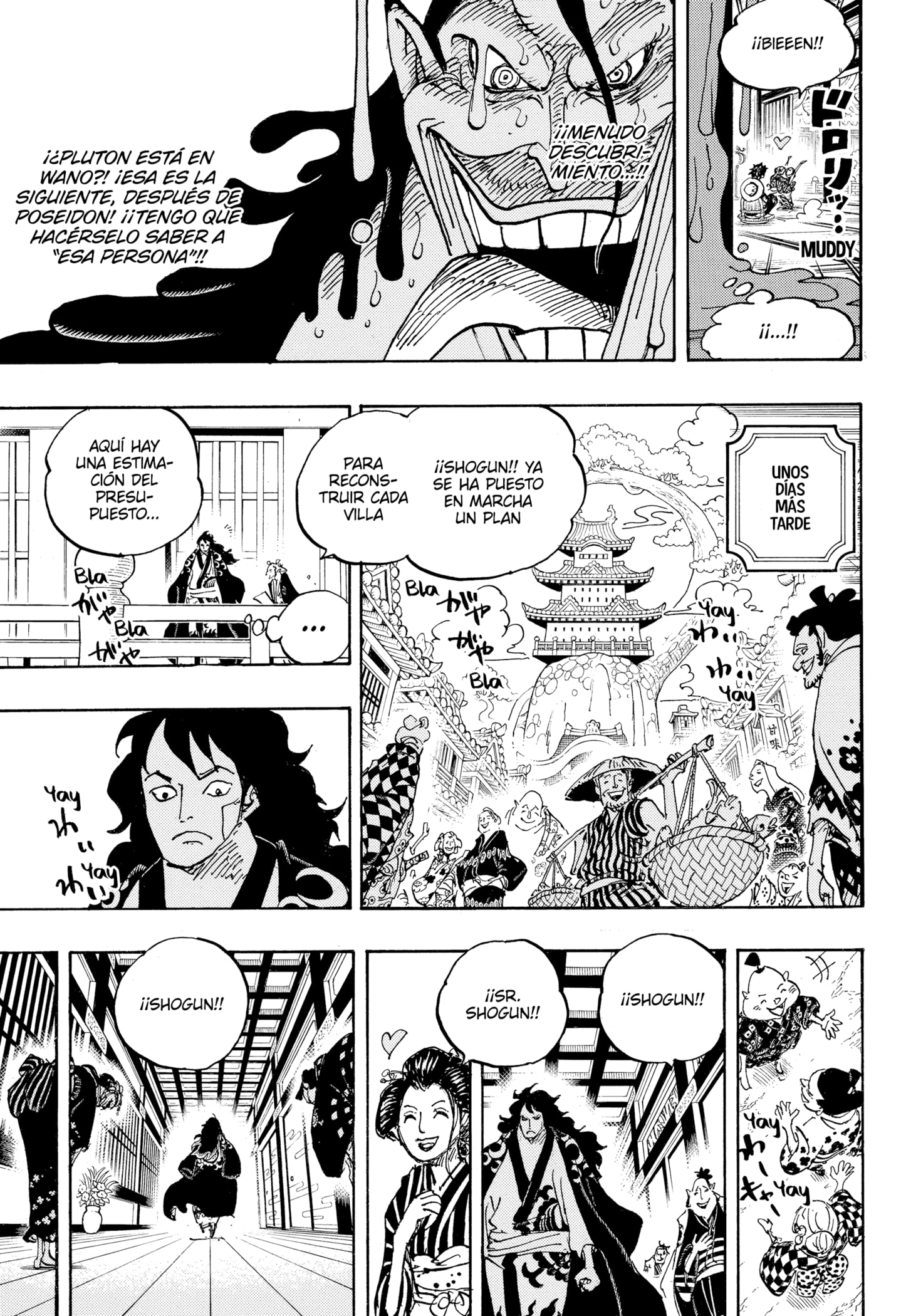 One Piece Capitulo 1056 página 9
