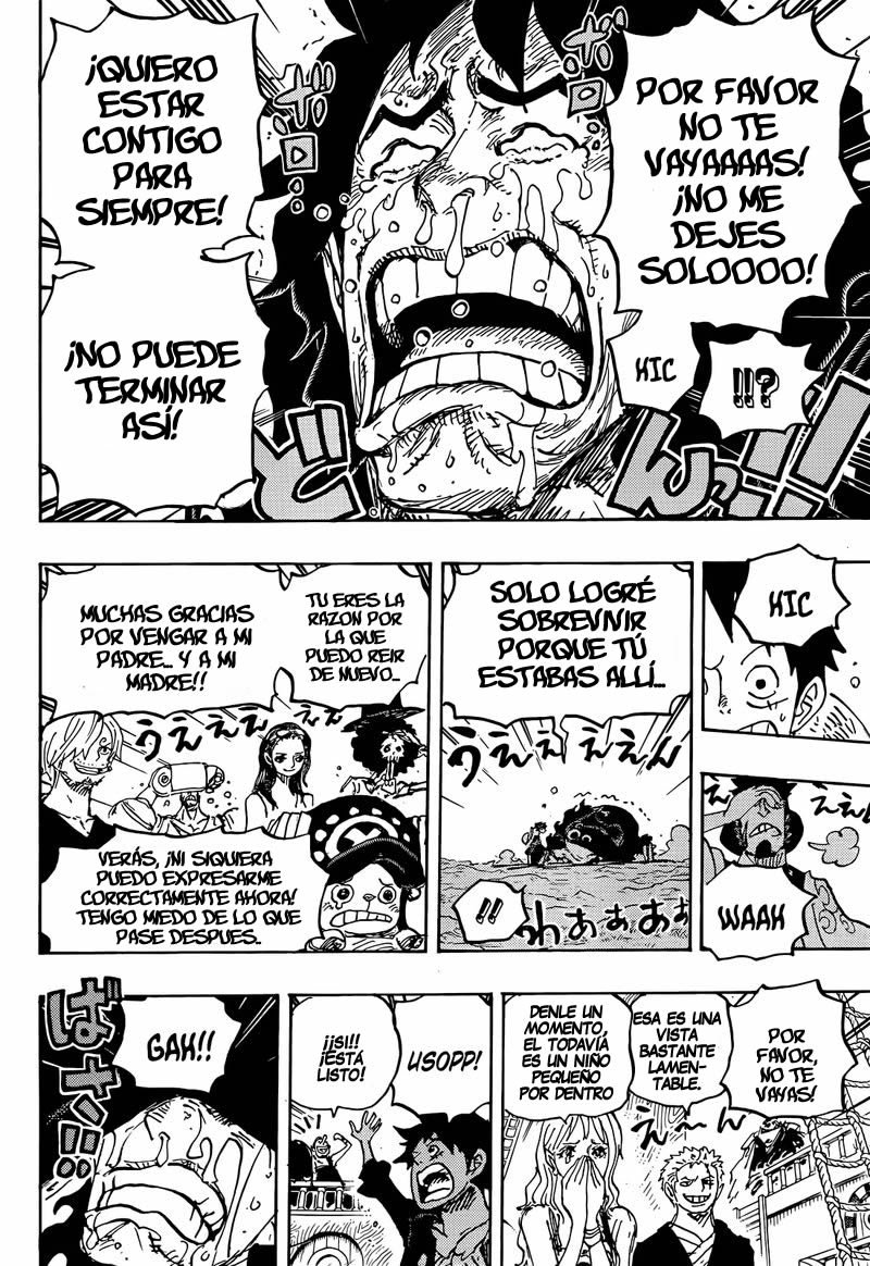 One Piece Capitulo 1057 página 10