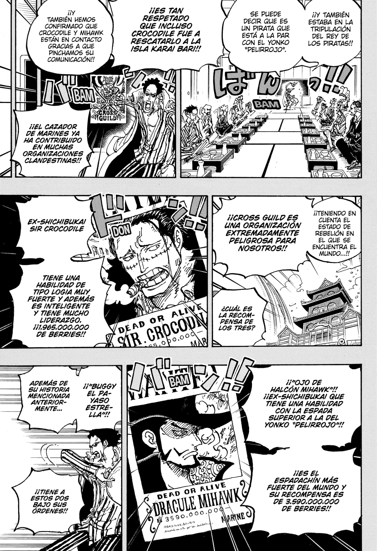 One Piece Capitulo 1058 página 13