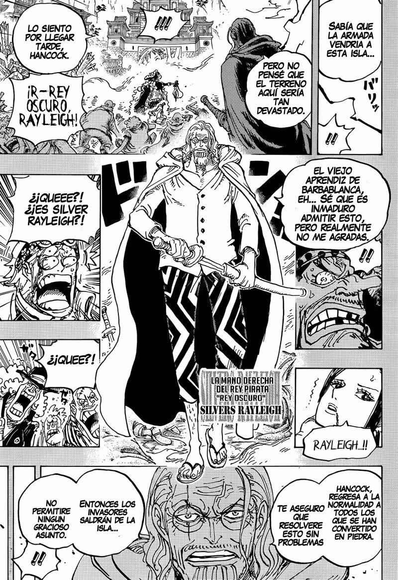 One Piece Capitulo 1059 página 15