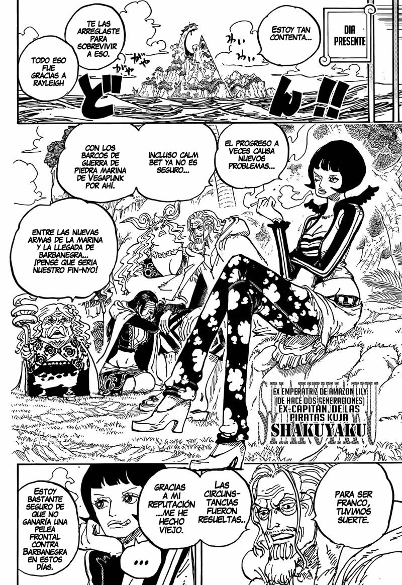 One Piece Capitulo 1059 página 16