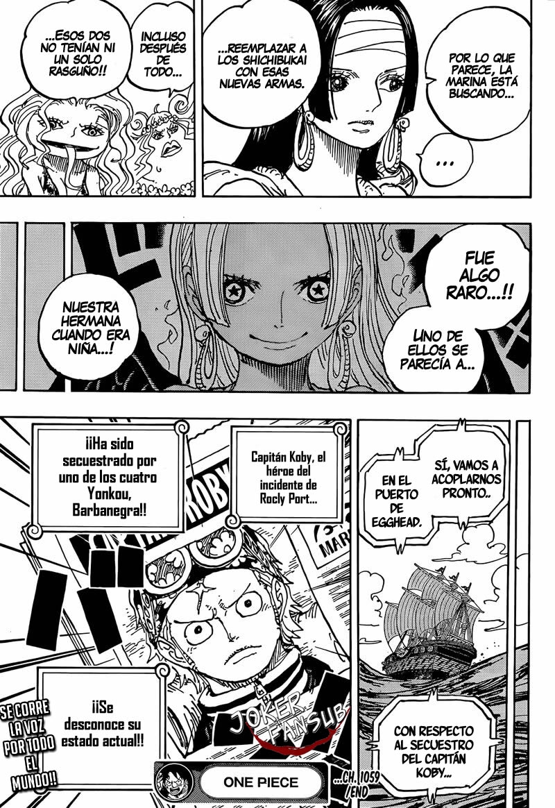 One Piece Capitulo 1059 página 17