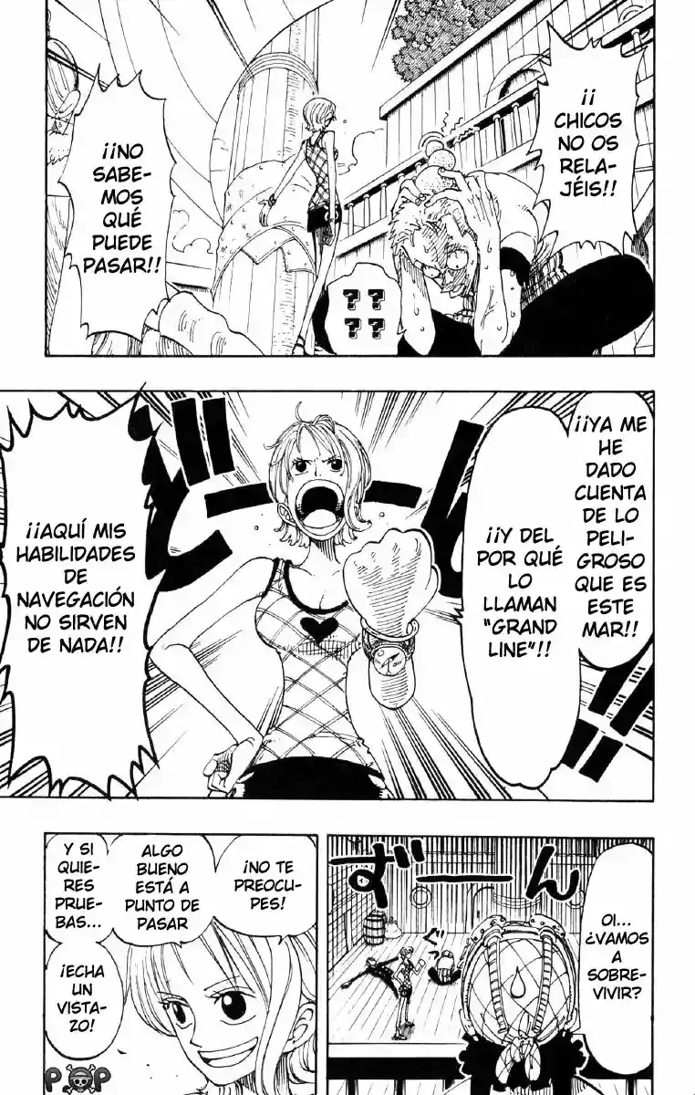 One Piece Capitulo 106 página 11
