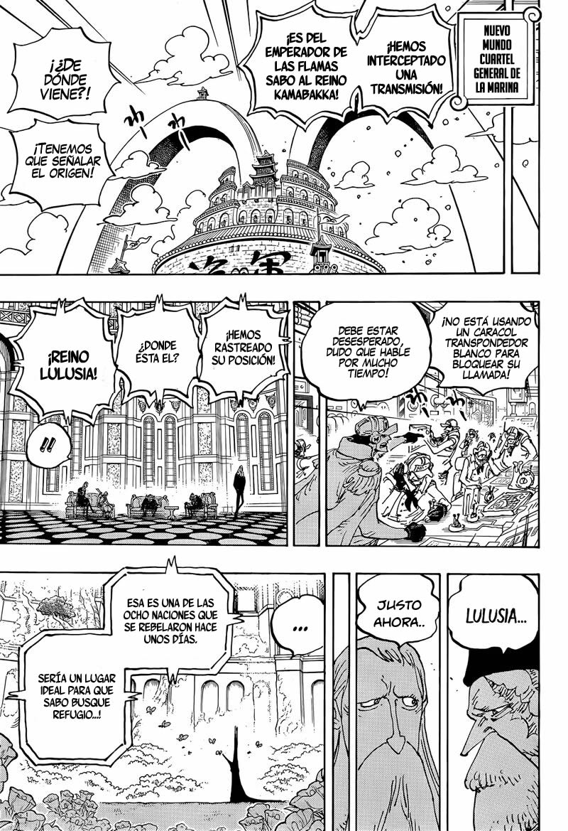 One Piece Capitulo 1060 página 10