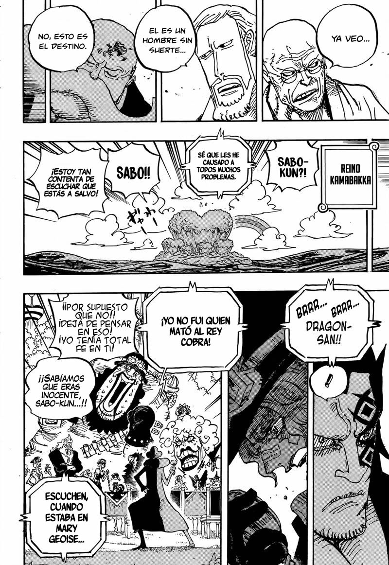 One Piece Capitulo 1060 página 11