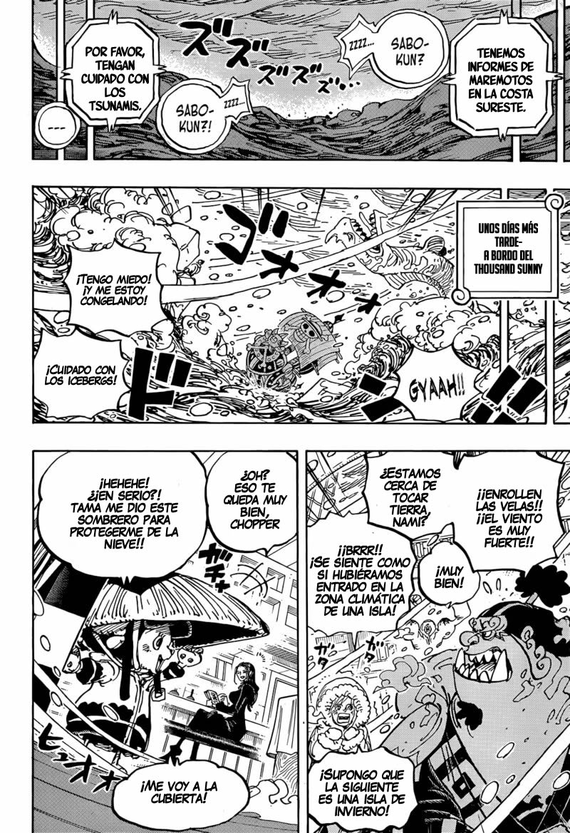 One Piece Capitulo 1060 página 14