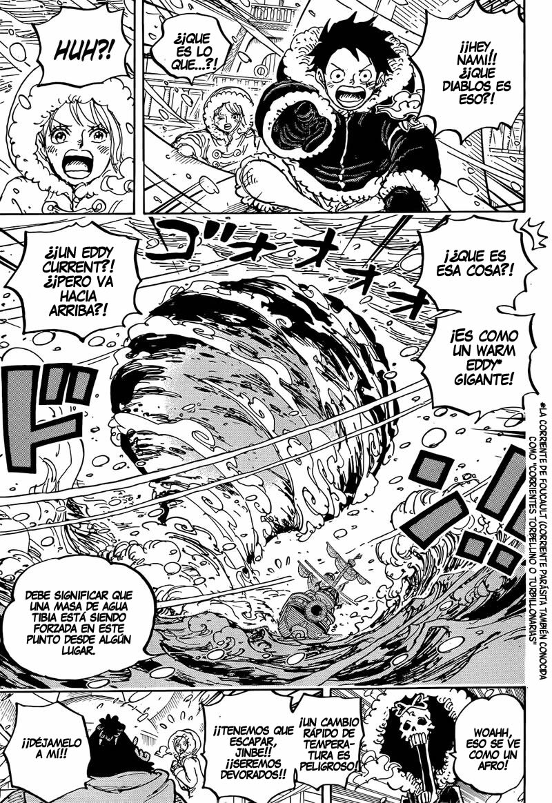 One Piece Capitulo 1060 página 15