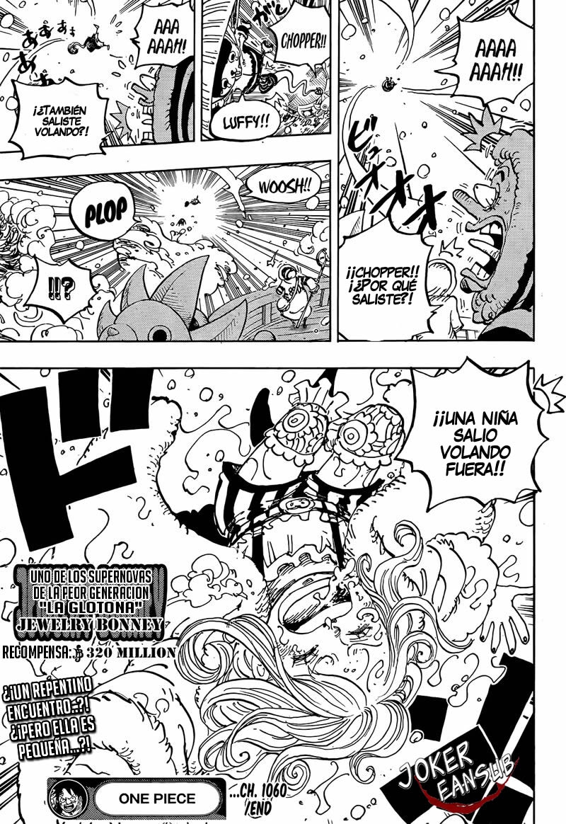 One Piece Capitulo 1060 página 17