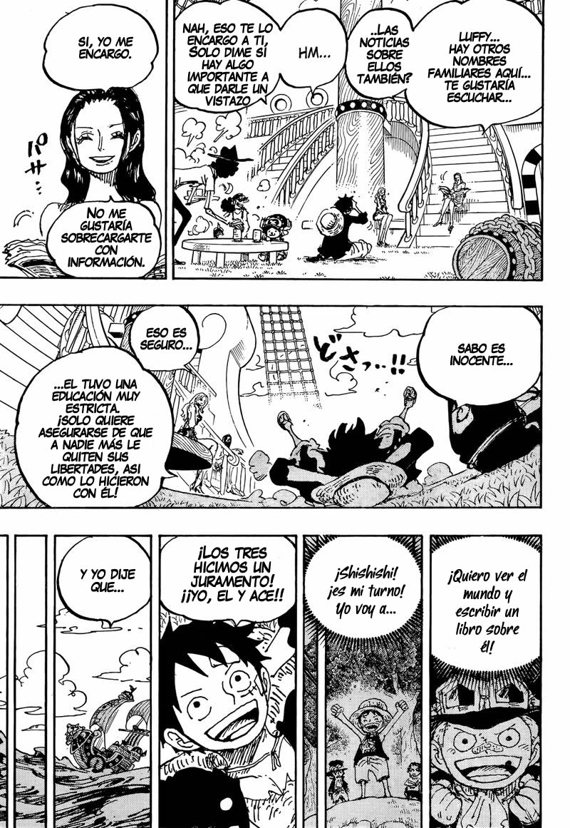 One Piece Capitulo 1060 página 7
