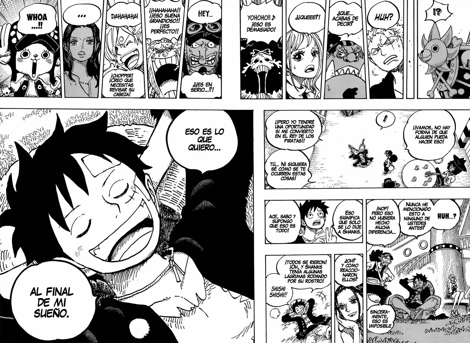One Piece Capitulo 1060 página 8
