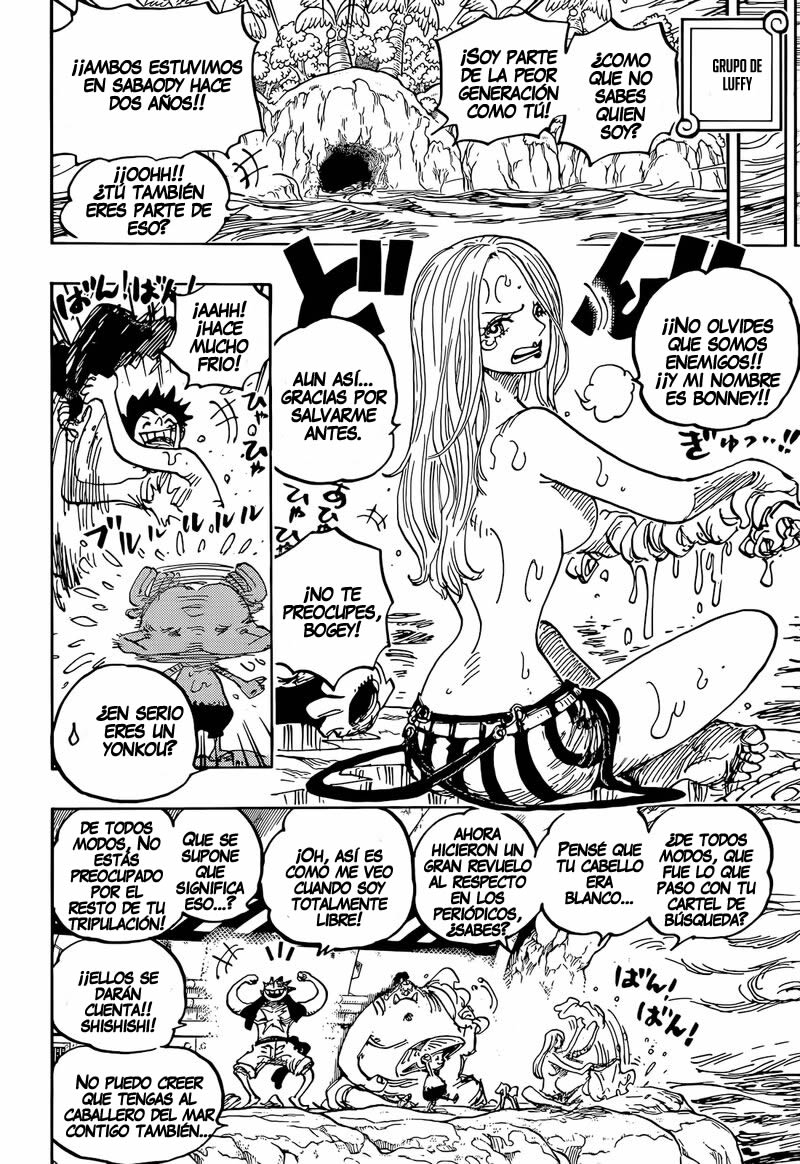 One Piece Capitulo 1061 página 11