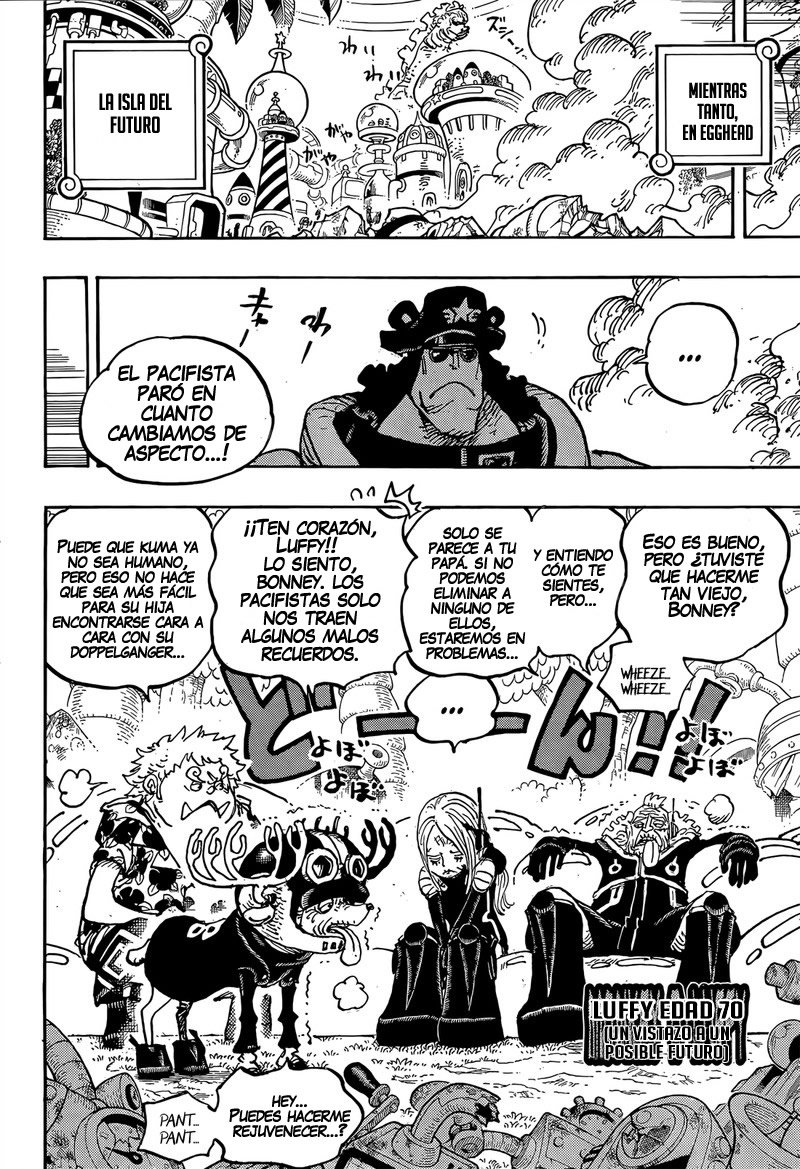 One Piece Capitulo 1064 página 10