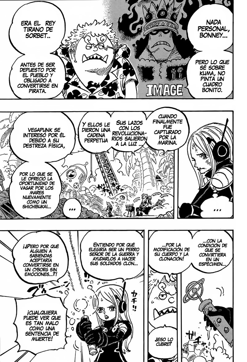 One Piece Capitulo 1064 página 11