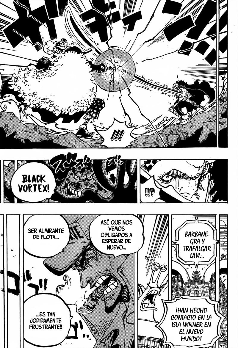 One Piece Capitulo 1064 página 9