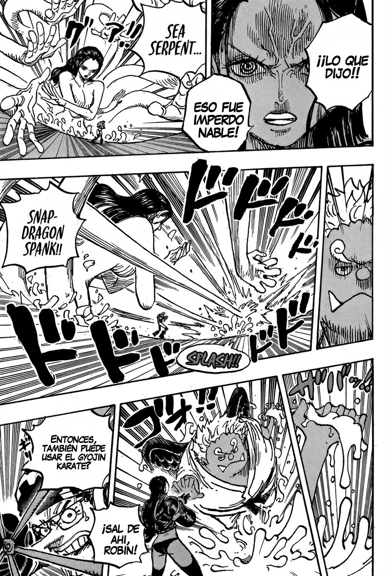One Piece Capitulo 1065 página 10