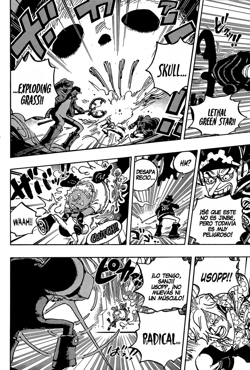 One Piece Capitulo 1065 página 11