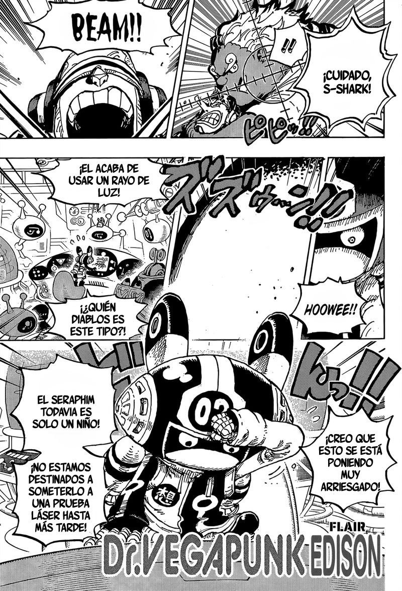 One Piece Capitulo 1065 página 12