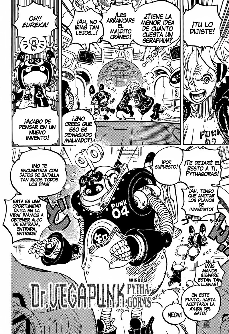 One Piece Capitulo 1065 página 13