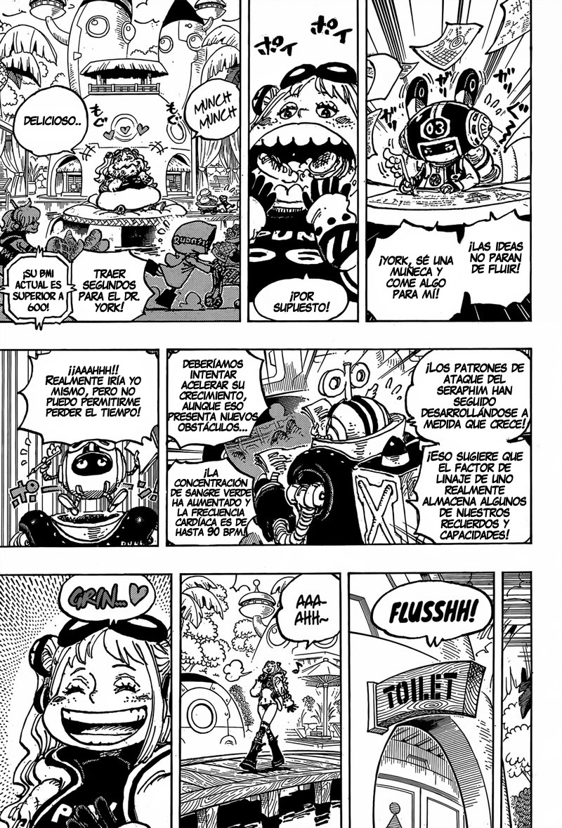 One Piece Capitulo 1065 página 14