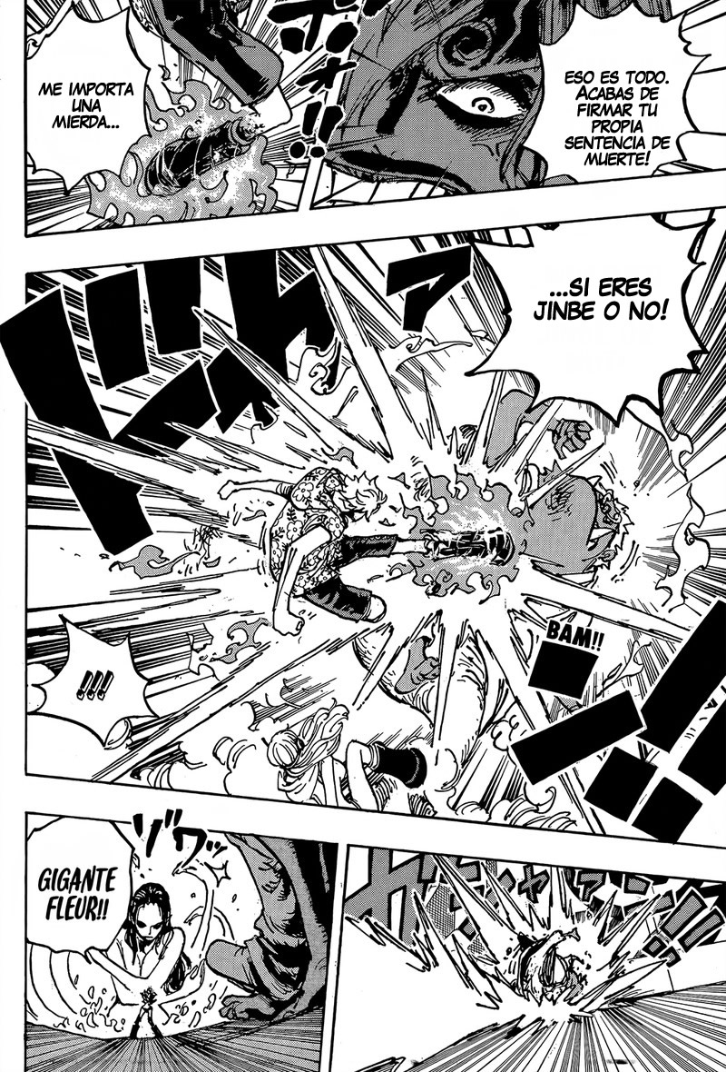 One Piece Capitulo 1065 página 9