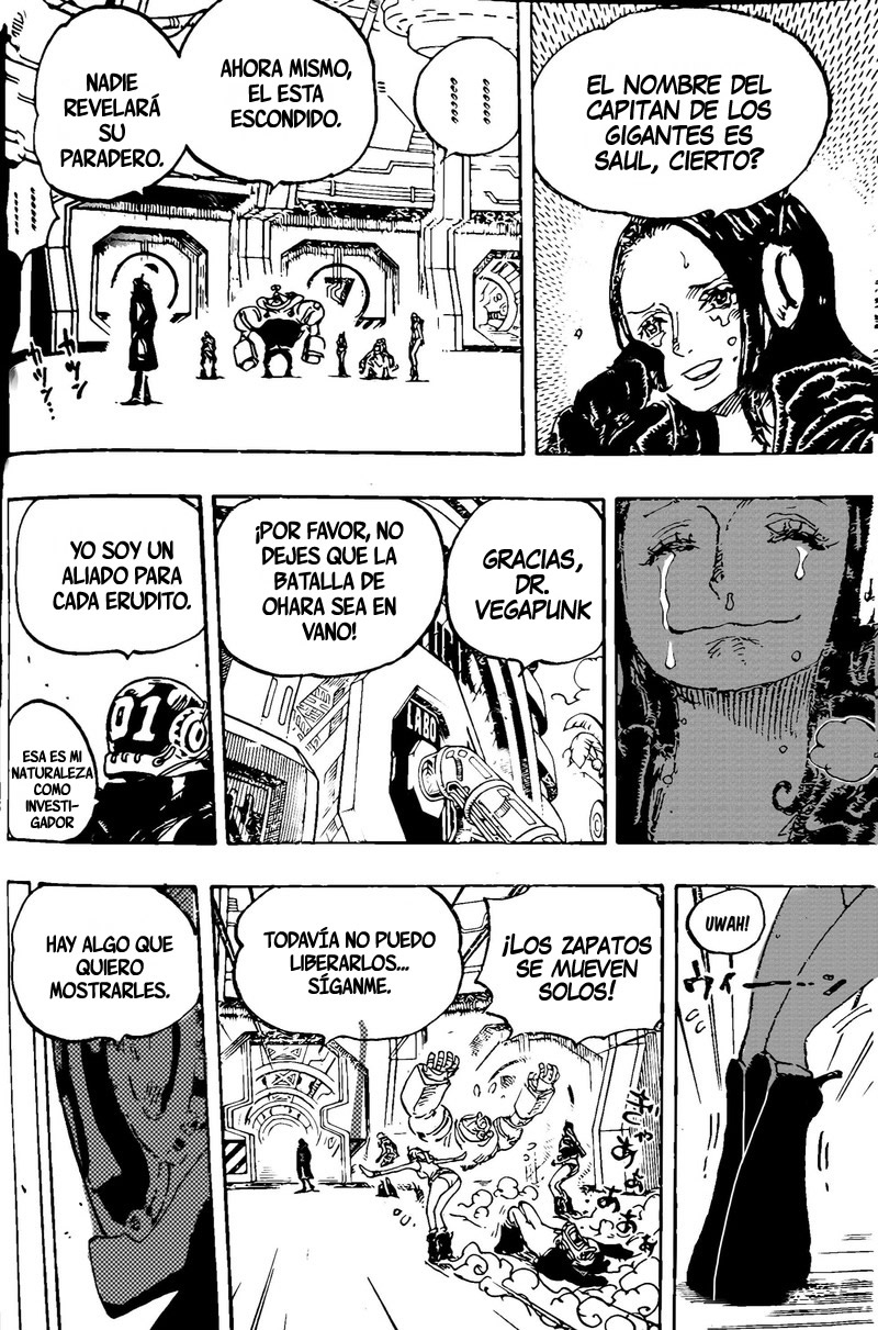 One Piece Capitulo 1066 página 14