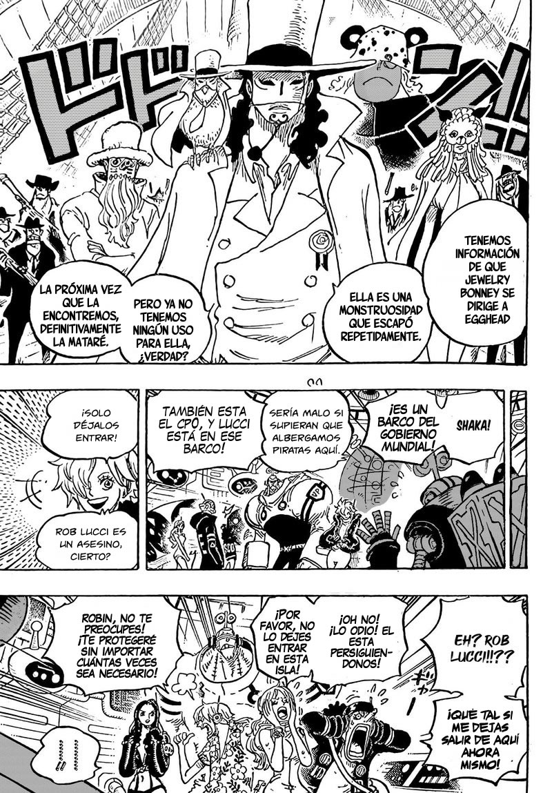 One Piece Capitulo 1067 página 13