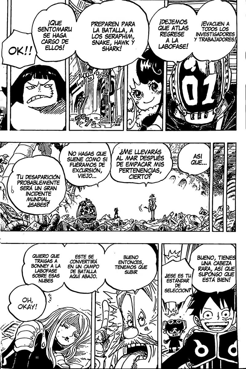 One Piece Capitulo 1068 página 12