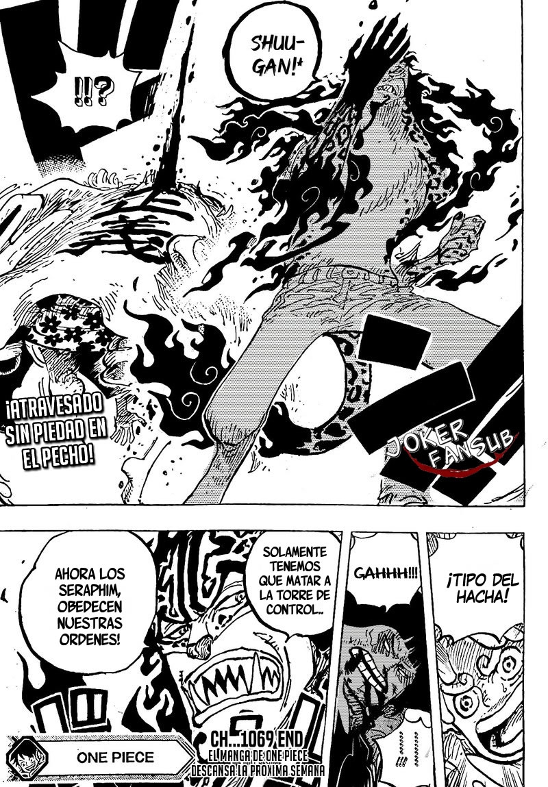 One Piece Capitulo 1069 página 15