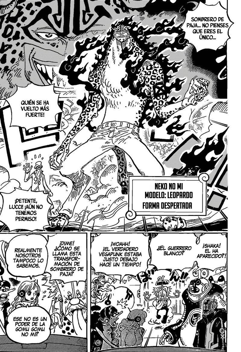 One Piece Capitulo 1069 página 8