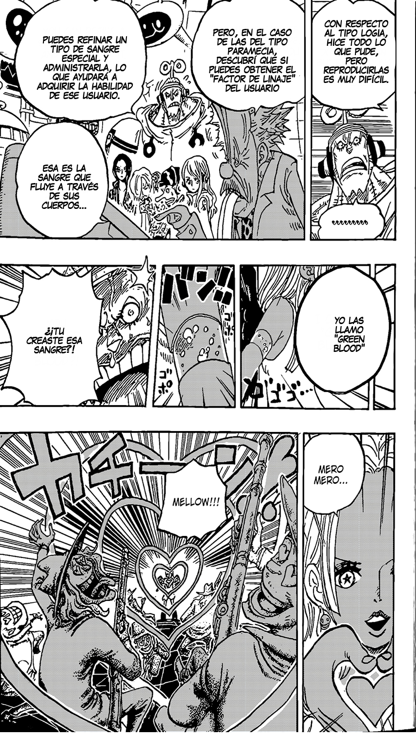 One Piece Capitulo 1070 página 7