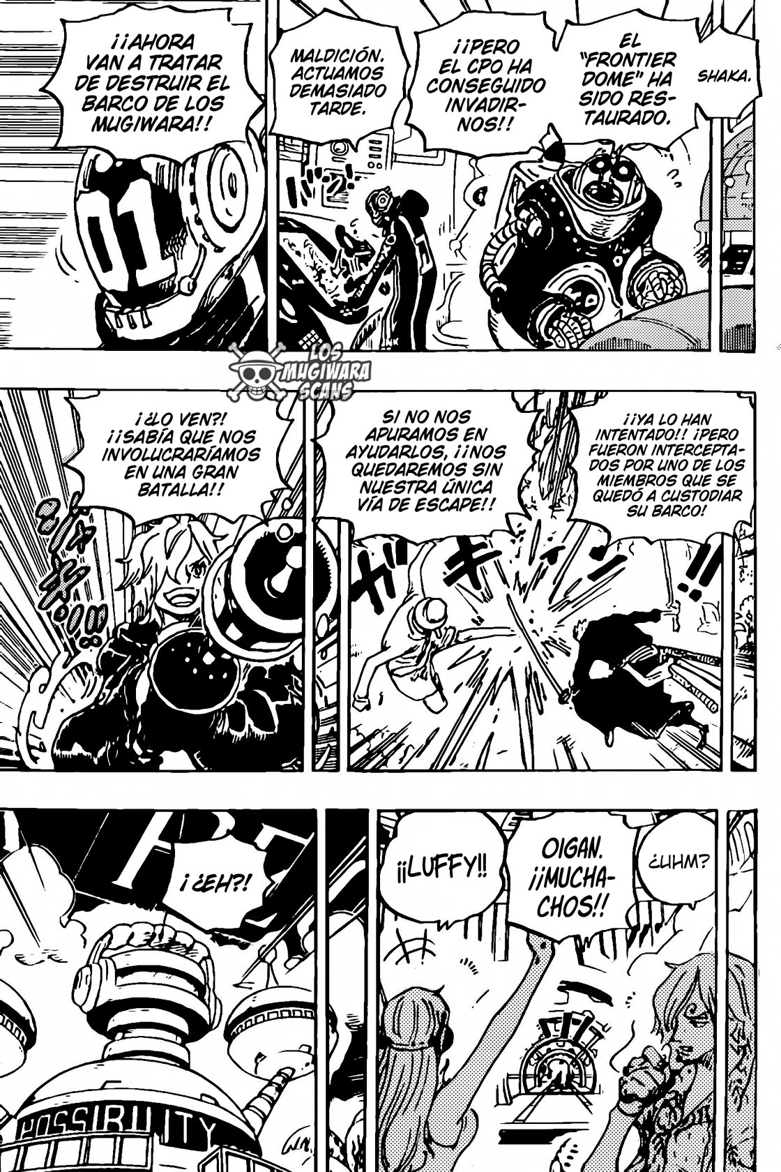 One Piece Capitulo 1071 página 13