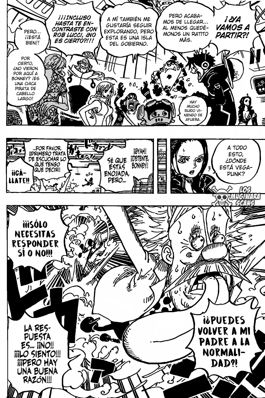 One Piece Capitulo 1071 página 14