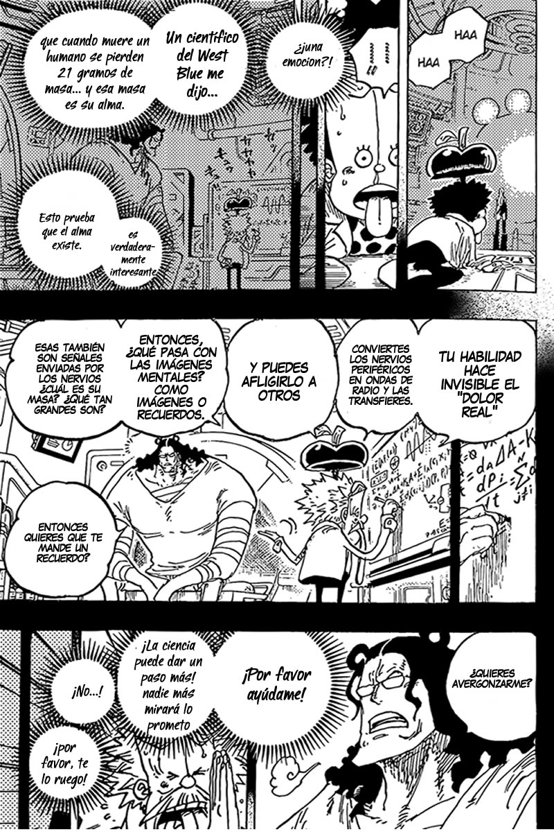 One Piece Capitulo 1072 página 10