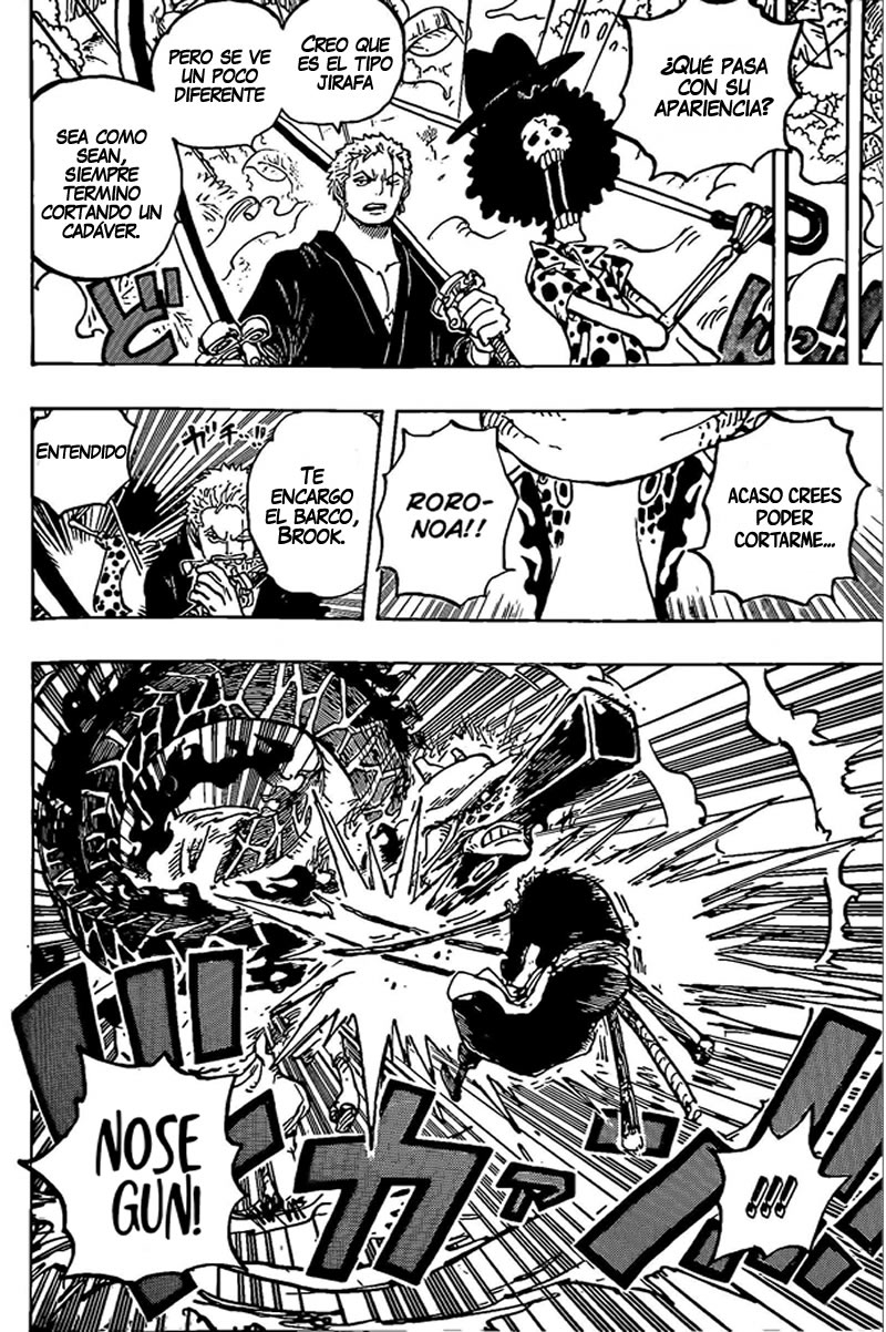One Piece Capitulo 1072 página 13