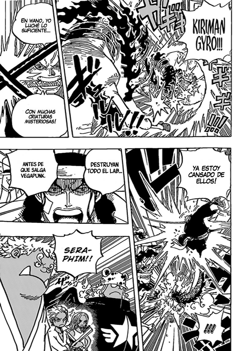 One Piece Capitulo 1072 página 14