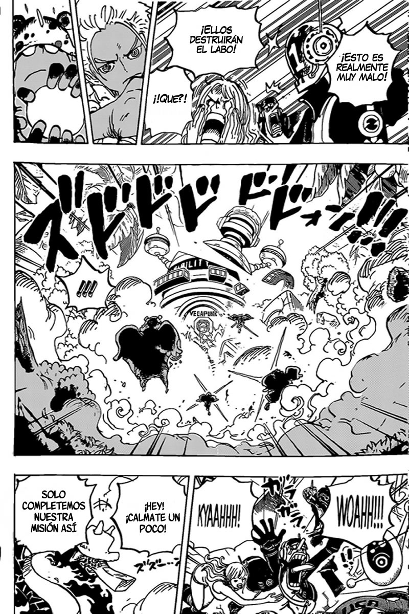 One Piece Capitulo 1072 página 15