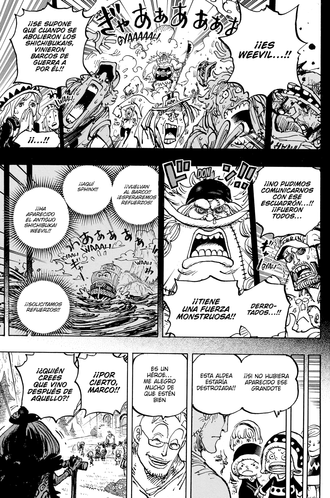 One Piece Capitulo 1073 página 13