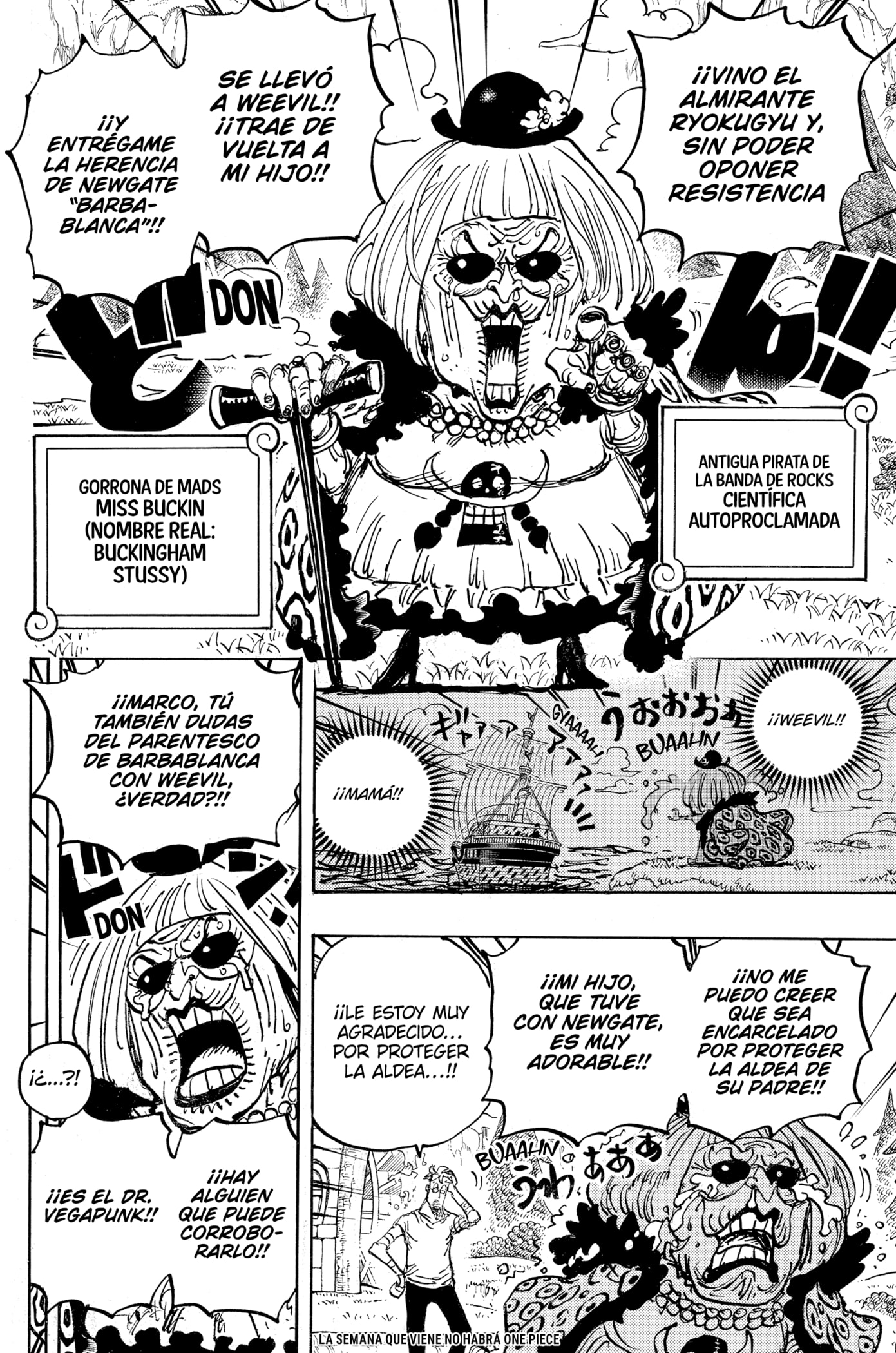 One Piece Capitulo 1073 página 14
