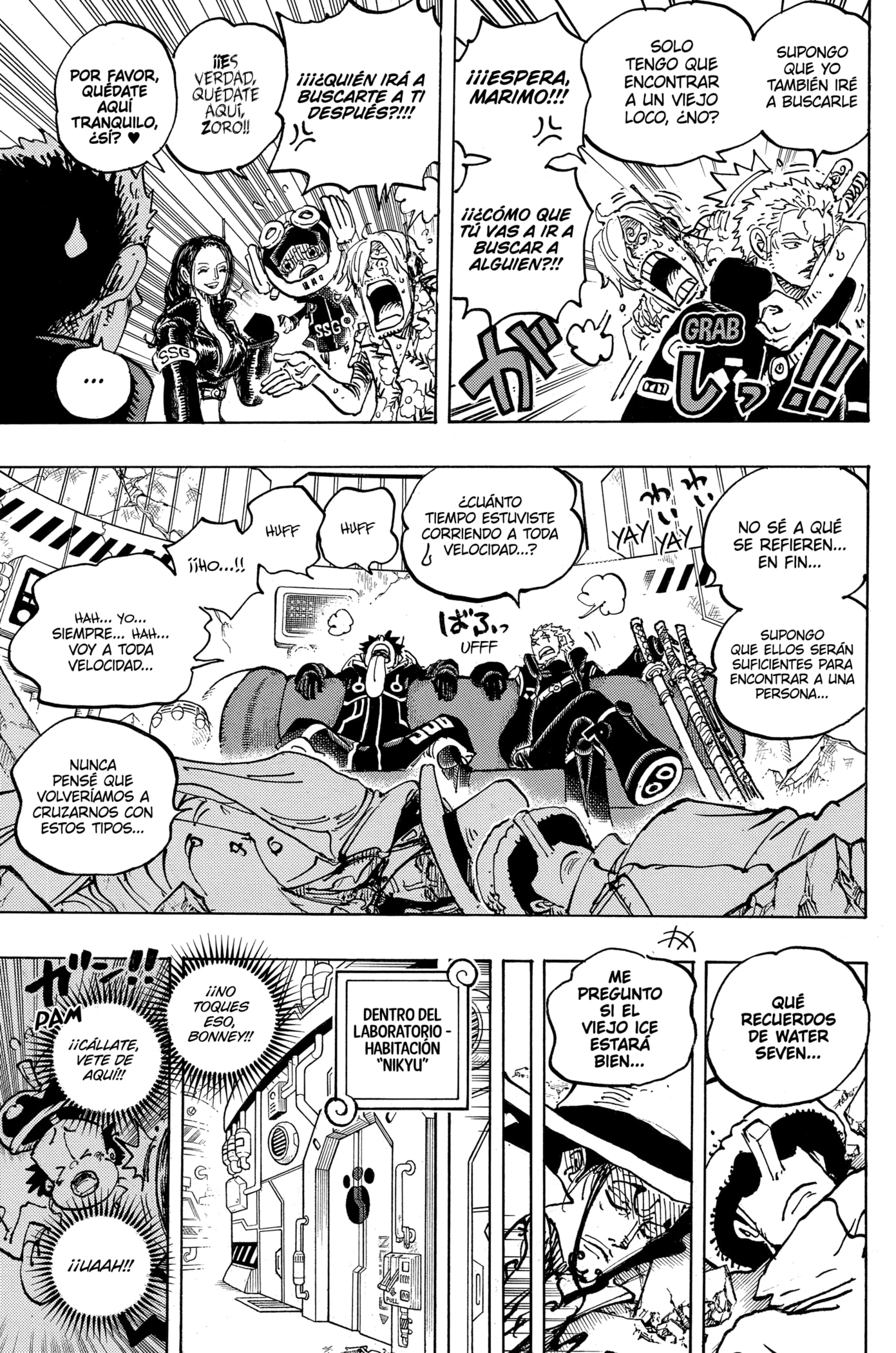 One Piece Capitulo 1074 página 11
