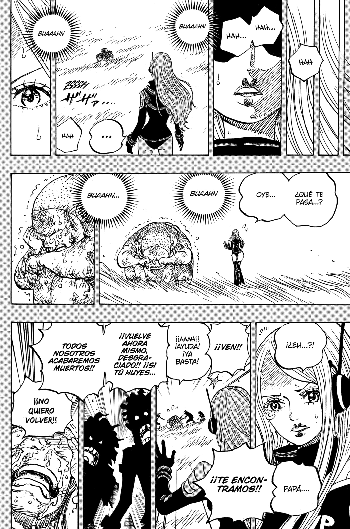 One Piece Capitulo 1074 página 12