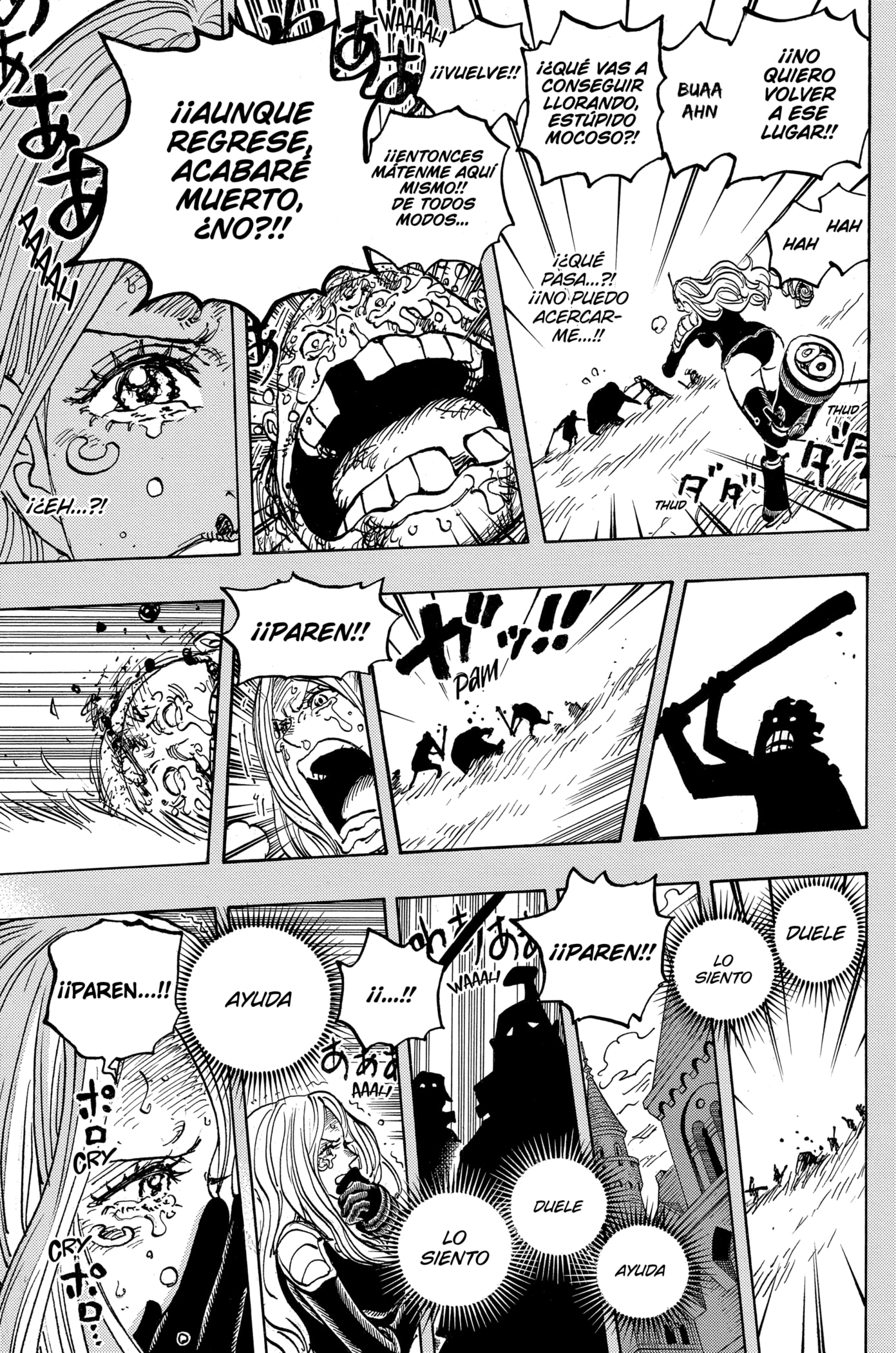 One Piece Capitulo 1074 página 13
